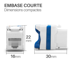 Embase Keystone courte RJ45 UTP Cat 6a FTP sans outil repérage coul
