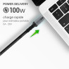 Cordon 100W 5A 20V Charge rapide USB 3.1 type C Mâle-Mâle 1.00m S