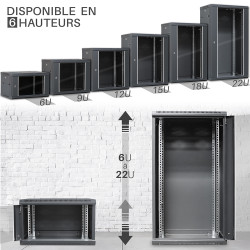 Coffret réseau 19'' 22U porte vitrée 600x450 noir monté