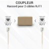 Raccord F/F RJ11 6P4C droit Sachet