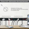 Multiprise Parasurtension 10 prises avec 2 Interrupteur câble 1,50m