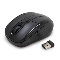 Souris Sans Fil Optique avec Nano Récepteur USB Noire