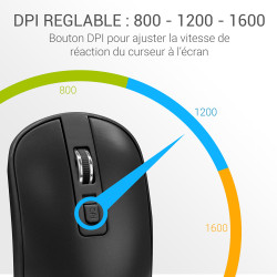 Souris Sans Fil Optique avec Nano Récepteur USB Sensib Régl Noire