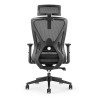 Fauteuil de bureau   LESATH
