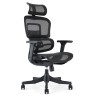 Fauteuil de bureau  DRACONIS