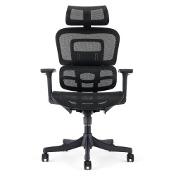Fauteuil de bureau  DRACONIS