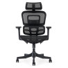 Fauteuil de bureau  DRACONIS