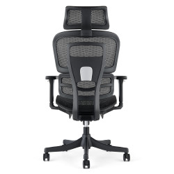 Fauteuil de bureau  DRACONIS