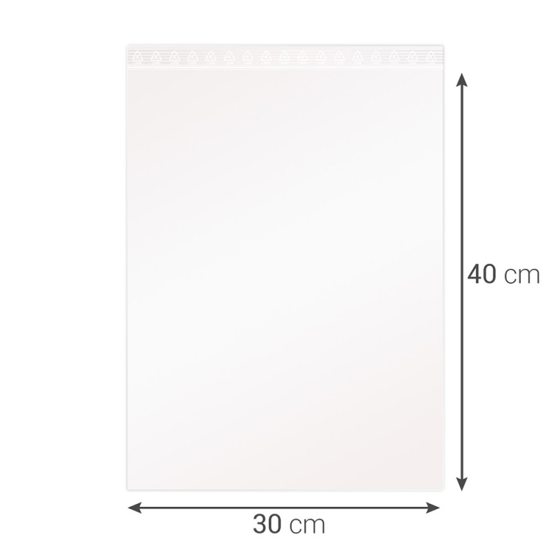 Sachet fermeture rapide, transparent 50mic, 300x400mm sachet de 100