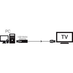 Adaptateur USB 2.0 PC à USB TV