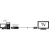Adaptateur USB 2.0 PC à USB TV