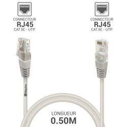 Câble réseau RJ45 Cat. 5e non blindé UTP gris 0.50m