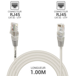 Câble réseau RJ45 Cat. 5e non blindé UTP gris 1.00m
