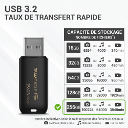 Clé 256 Go Pro USB 3.2 (3.1/3.0) Noir Team Group