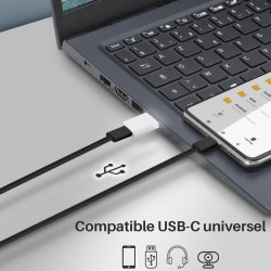 Adaptateur USB 3.0 Male à USB 3.1 Type C Femelle