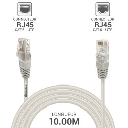 Câble réseau RJ45 Cat. 6 non blindé UTP gris 10.00m