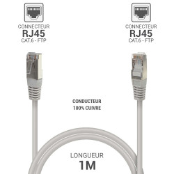 Câble réseau RJ45 Cat. 6 100% cuivre blindé FTP gris 1.00m