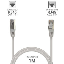 Câble réseau RJ45 Cat. 6 blindé FTP gris 1.00m