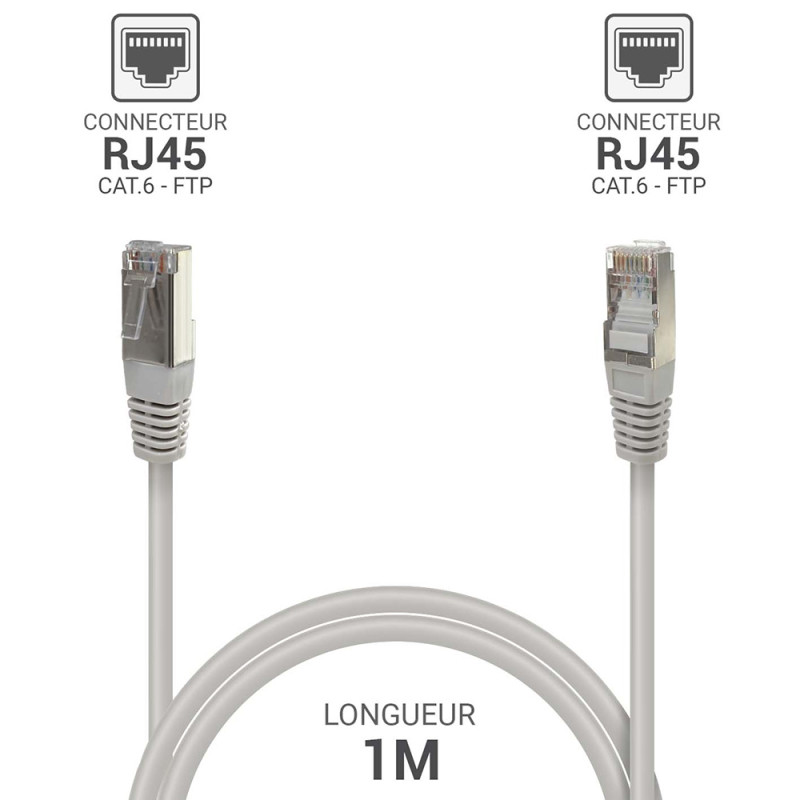 Câble réseau RJ45 Cat. 6 blindé FTP gris 1.00m