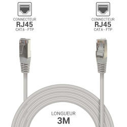 Câble réseau RJ45 Cat. 6 blindé FTP gris 3.00m