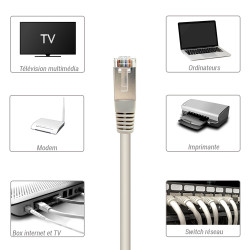 Câble réseau RJ45 Cat. 6 blindé FTP gris 3.00m