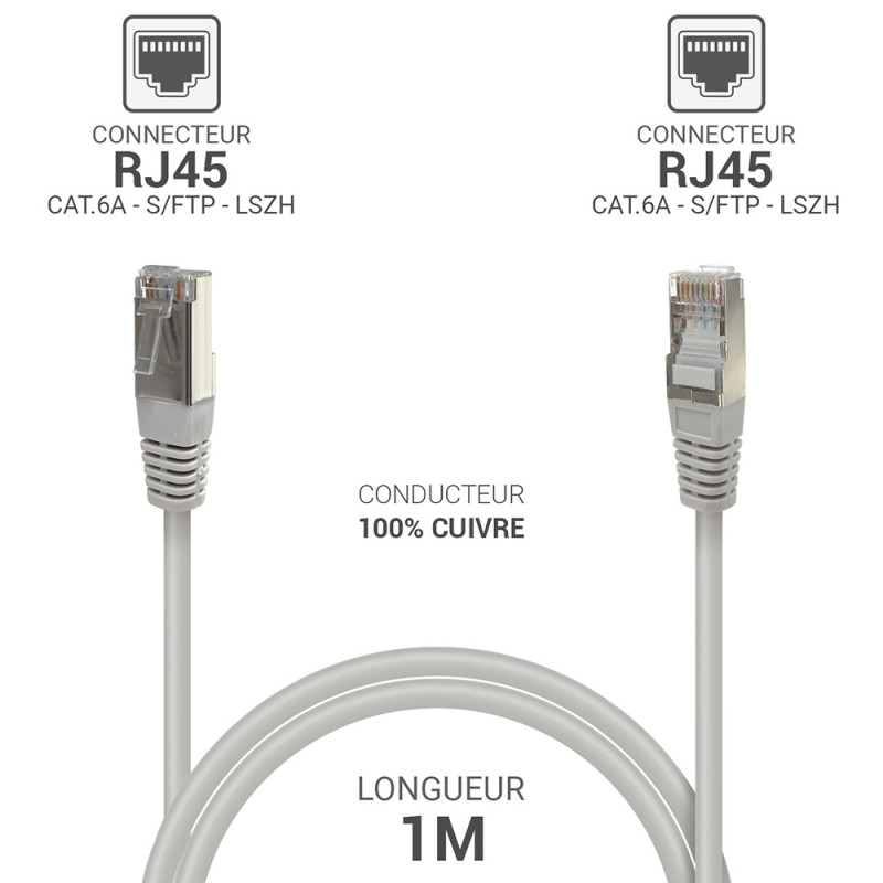 Câble réseau RJ45 Cat. 6a 100% cuivre S/FTP LSOH gris 1.00m