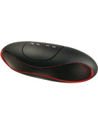 Enceinte et Micro WAYTEX.fr