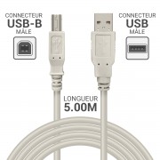 Cordon USB 2.0 A/B mâle-mâle 5.00m beige