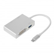Adaptateur USB 3.1 Type C mâle à HDMI / VGA / DVI / USB 3.0 femelle 0.15m